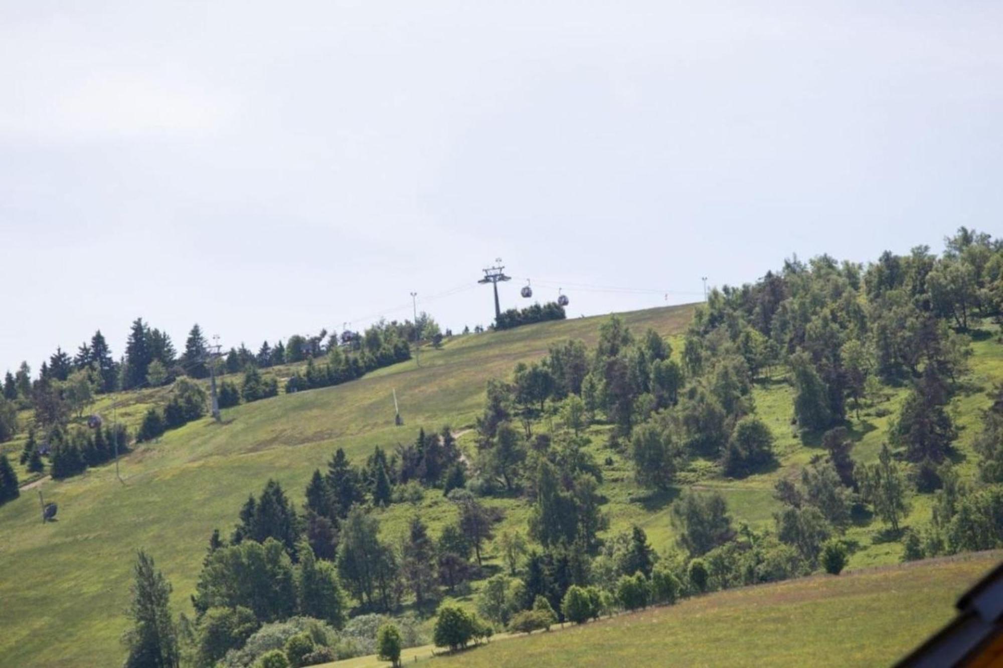 Ferienhaus Easy Holiday Am Ritzhagen Ehem Heinrichs Willingen  Eksteriør billede