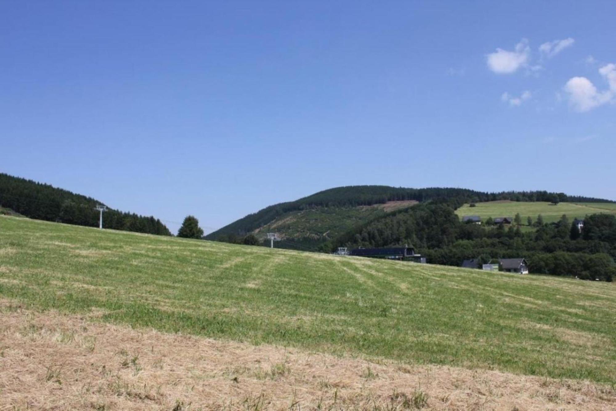 Ferienhaus Easy Holiday Am Ritzhagen Ehem Heinrichs Willingen  Eksteriør billede
